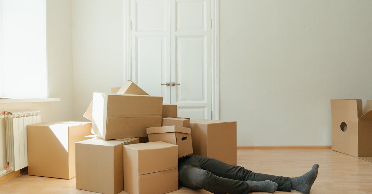 découvrez les causes, les conséquences et les mesures de prévention des accidents dans notre article. informez-vous sur la sécurité routière, les premiers secours et comment réagir efficacement face à un incident.