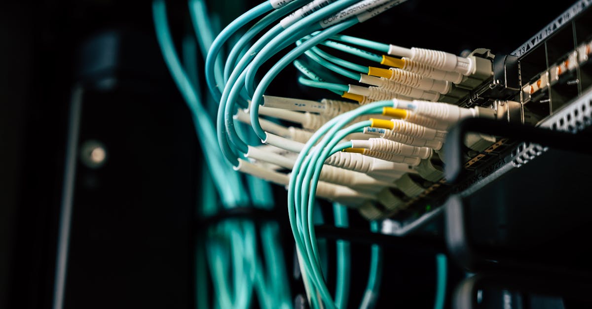 découvrez notre sélection de plugs anaux, conçus pour offrir une stimulation intense et un plaisir inégalé. idéaux pour les débutants comme pour les utilisateurs expérimentés, nos produits allient confort et design pour une expérience érotique réussie.