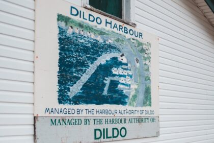 découvrez notre vaste sélection de dildos de haute qualité, conçus pour satisfaire tous vos désirs et besoins. que vous soyez novice ou expert, nos produits offrent des sensations uniques et des expériences inoubliables. explorez le plaisir en toute confiance avec des matériaux sûrs et innovants.