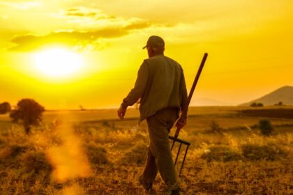 découvrez notre sélection de masturbateurs masculins, conçus pour offrir une expérience intime unique et satisfaisante. profitez de sensations variées et d'une discrétion totale grâce à des produits de qualité supérieure. explorez votre plaisir avec nos options adaptées à tous les goûts.