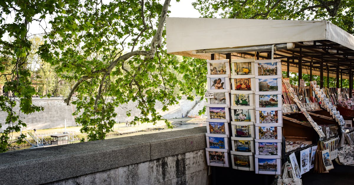 découvrez les leaders du marché, des entreprises qui innovent et définissent les tendances dans leur secteur. informez-vous sur les stratégies gagnantes et les succès qui font la différence.