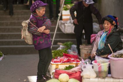 découvrez les leaders du marché qui façonnent l'industrie avec leurs innovations, leur expertise et leur influence. explorez leurs stratégies gagnantes et restez à la pointe des tendances.