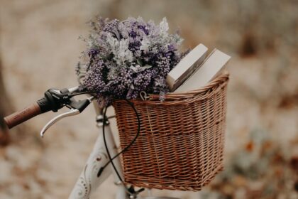 explorez un voyage sensoriel fascinant qui éveille vos sens et vous plonge dans une expérience immersive inoubliable. découvrez des paysages, des odeurs et des sons qui éveillent votre curiosité et nourrissent votre esprit.