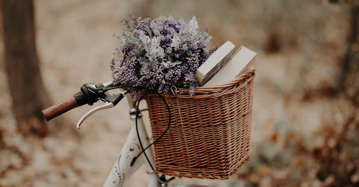 explorez un voyage sensoriel fascinant qui éveille vos sens et vous plonge dans une expérience immersive inoubliable. découvrez des paysages, des odeurs et des sons qui éveillent votre curiosité et nourrissent votre esprit.