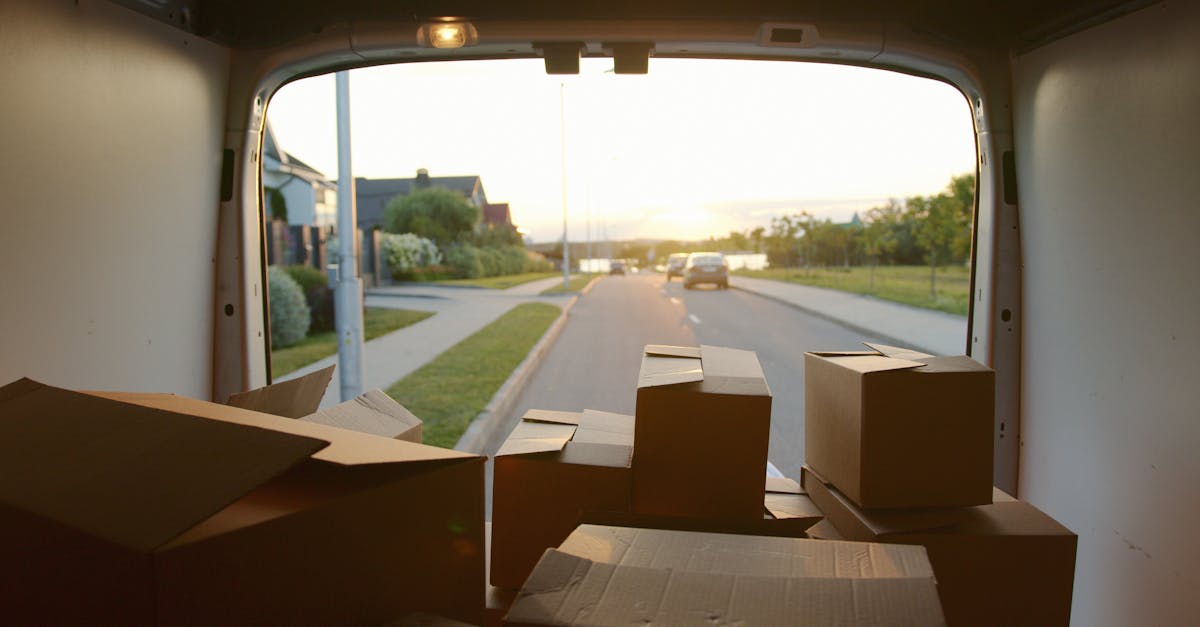 découvrez les clés de l'épanouissement sexuel pour une vie intime épanouie et satisfaisante. explorez des conseils, des pratiques et des insights pour améliorer votre bien-être et renforcer vos relations.