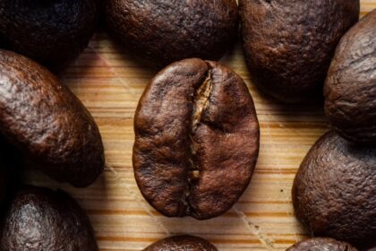 découvrez comment le terme 'stimulant' peut transformer votre quotidien. que ce soit dans le domaine de l'alimentation, des activités physiques ou des expériences professionnelles, trouvez des conseils et astuces pour dynamiser votre vie et booster votre motivation!