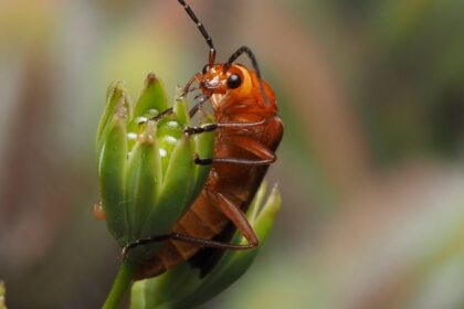 découvrez le pouvoir de la synergie, où la collaboration authentique entre individus et équipes crée des résultats exceptionnels. optimisez votre potentiel collectif et stimulez l'innovation grâce à une coopération harmonieuse et efficace.