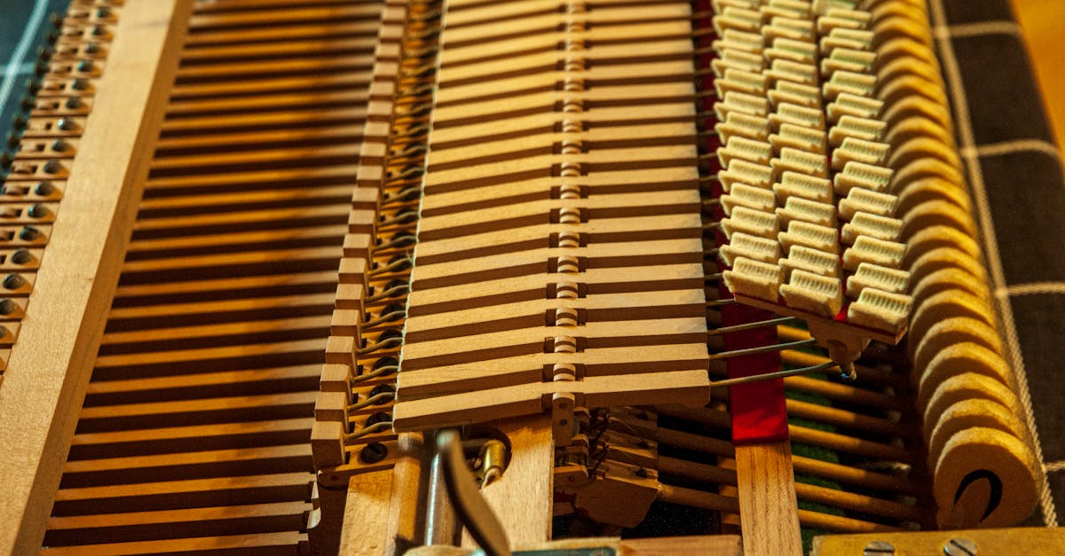 découvrez notre sélection de vibromasseurs, conçus pour apporter plaisir et satisfaction. explorez des modèles variés adaptés à tous les désirs, pour des moments intimes inoubliables. faites l'expérience d'une nouvelle dimension de la sensualité.