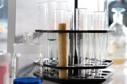 découvrez le vibro bebop, l'accessoire innovant qui allie technologie et plaisir. conçu pour stimuler vos sens, il apporte une expérience unique et envoûtante. laissez-vous séduire par ses fonctionnalités interactives et son design moderne.