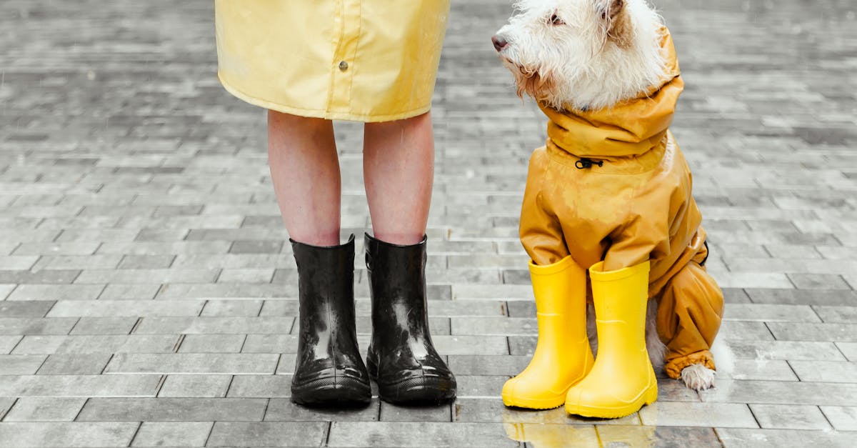 découvrez notre vibrateur étanche, conçu pour une expérience intime inoubliable. que ce soit sous la douche ou dans la baignoire, ce jouet élégant et puissant saura éveiller vos sens tout en garantissant une totale sécurité et discrétion. offrez-vous des moments de plaisir, peu importe l'endroit !