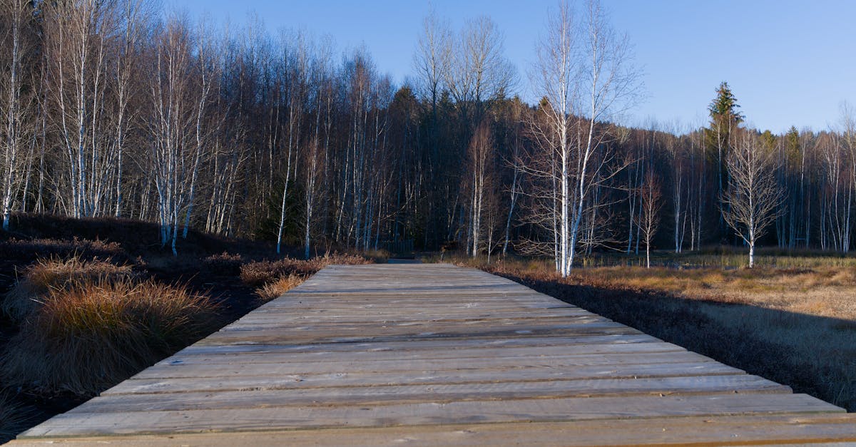 découvrez notre collection de dildos en bois, alliant artisanat de qualité et stimulation naturelle. chaque pièce est unique, offrant une expérience sensorielle sûre et respectueuse de l'environnement. explorez le plaisir d'une sensualité authentique avec des matériaux durables.