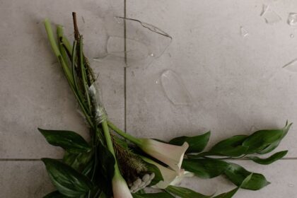 découvrez les dessous d'un scandale retentissant : révélations, impact et enjeux autour de cette affaire qui secoue l'actualité.