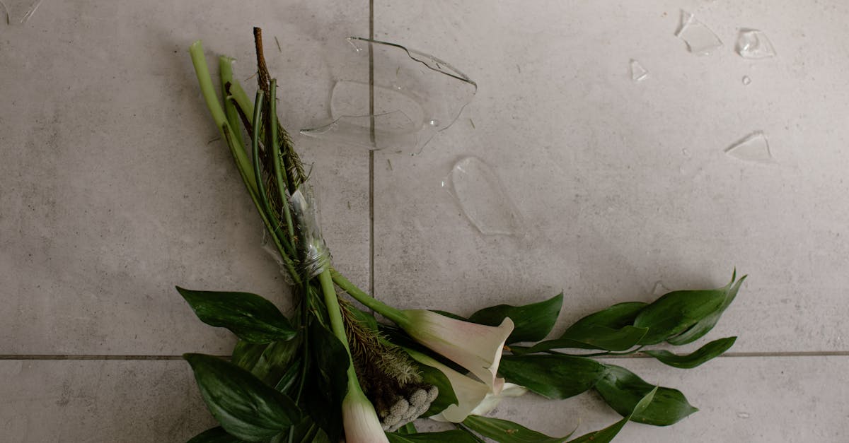 découvrez les dessous d'un scandale retentissant : révélations, impact et enjeux autour de cette affaire qui secoue l'actualité.