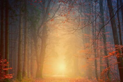 découvrez l'univers fascinant du mystère : histoires intrigantes, secrets cachés et énigmes à résoudre pour les amateurs de suspense et de rebondissements surprenants.