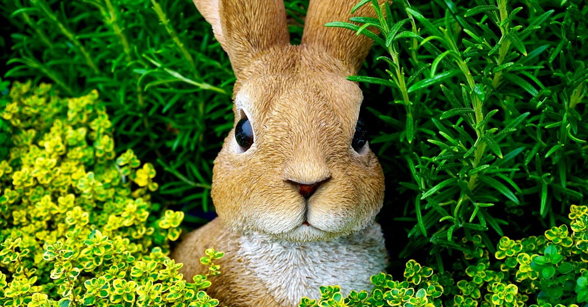 découvrez le rabbit vibrator, un sextoy féminin innovant combinant stimulation interne et externe pour des sensations intenses et un plaisir maximal. idéal pour explorer de nouveaux horizons érotiques en toute discrétion et sécurité.