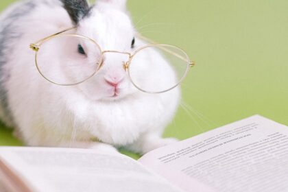 découvrez le rabbit vibrator, un sextoy innovant alliant stimulation clitoridienne et vaginale pour des plaisirs intenses et des orgasmes puissants. discret, ergonomique et facile à utiliser.