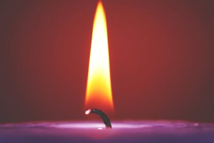 découvrez un calendrier de l'avent romantique pour partager chaque jour de décembre avec des surprises et des moments privilégiés à deux. idéal pour raviver la magie de l’amour en attendant noël !