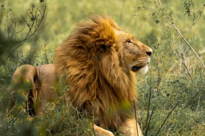 découvrez l’univers de la sextoy hunt : jeux coquins, conseils et idées pour pimenter votre vie intime avec des chasses au trésor sexy en couple ou entre amis.