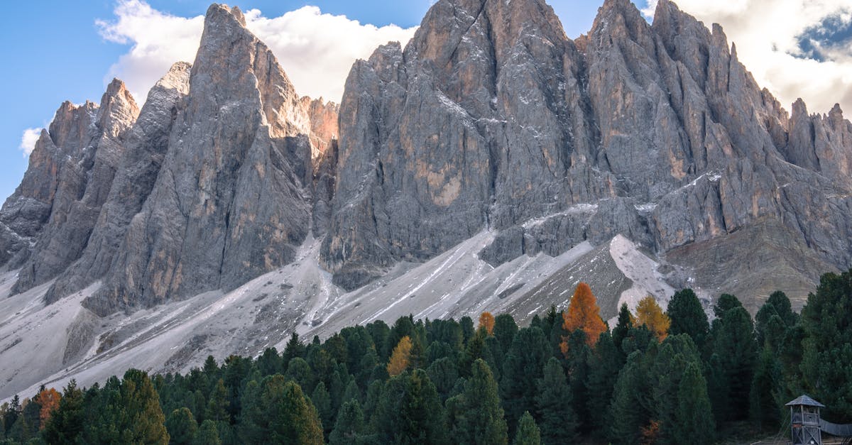 découvrez tout ce qu’il faut savoir sur l’exploration anale : conseils, précautions et informations pour une expérience sûre, respectueuse et agréable.