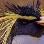 découvrez tout ce qu’il faut savoir sur les bio lubrifiants : une alternative écologique et performante pour l’entretien et la protection de vos équipements, respectueuse de l’environnement.