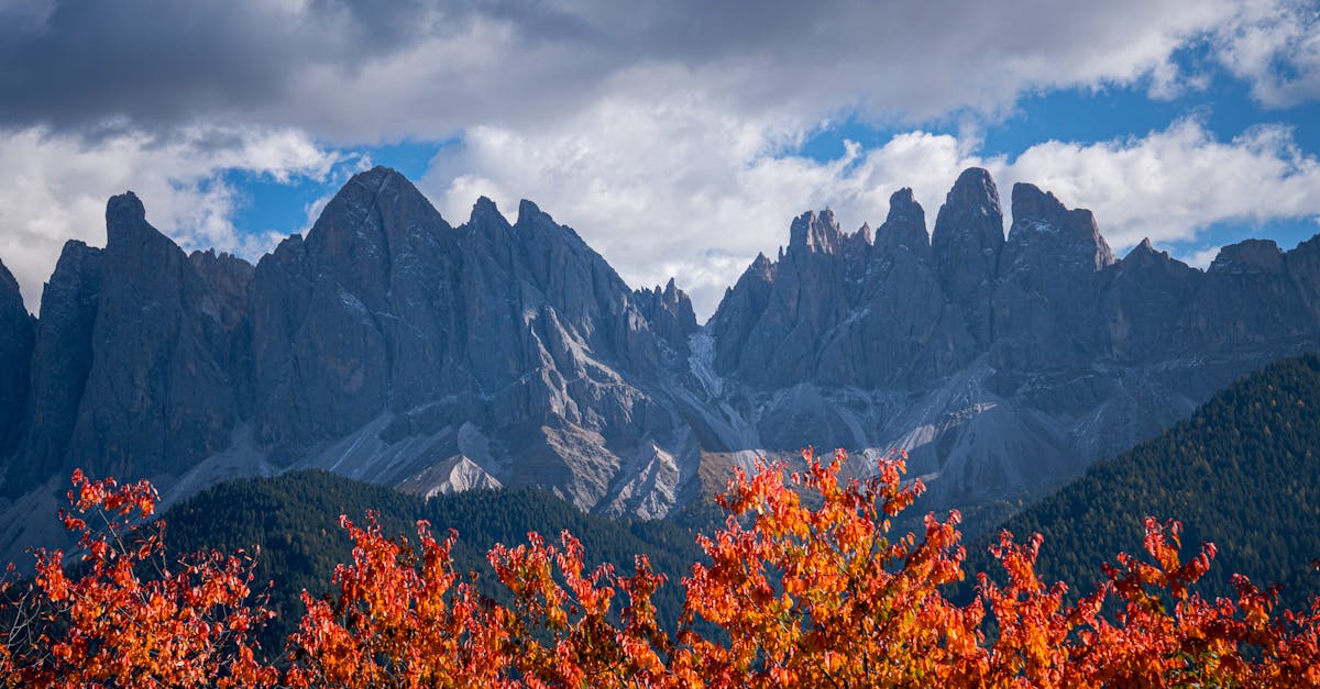 découvrez ce qu'est le point g, où il se trouve et comment stimuler cette zone érogène pour intensifier le plaisir et la satisfaction sexuelle. guide complet et conseils pour en savoir plus.