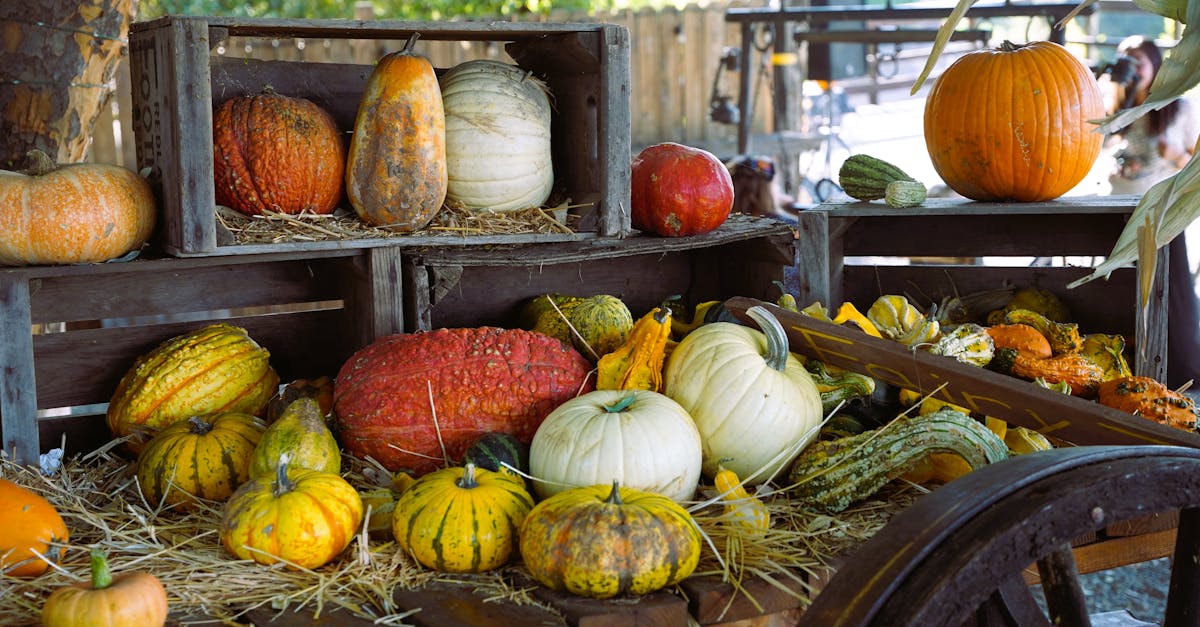 découvrez tout ce qu'il faut savoir sur le point g : son emplacement, son rôle dans le plaisir féminin, et des conseils pour mieux le stimuler. explorez nos conseils pour une vie intime épanouie.