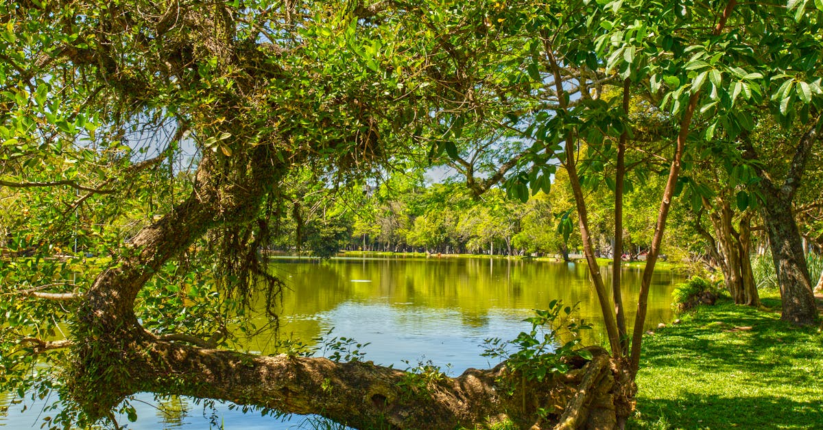 découvrez tout ce qu’il faut savoir sur le point g : son emplacement, son rôle dans le plaisir féminin, et des conseils pratiques pour mieux le stimuler.