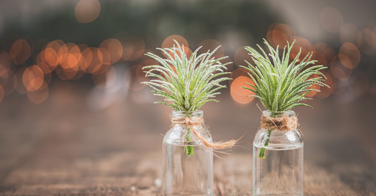 découvrez notre collection de mini sextoys, discrets, puissants et faciles à transporter. idéals pour explorer de nouveaux plaisirs en toute intimité, seuls ou en couple.