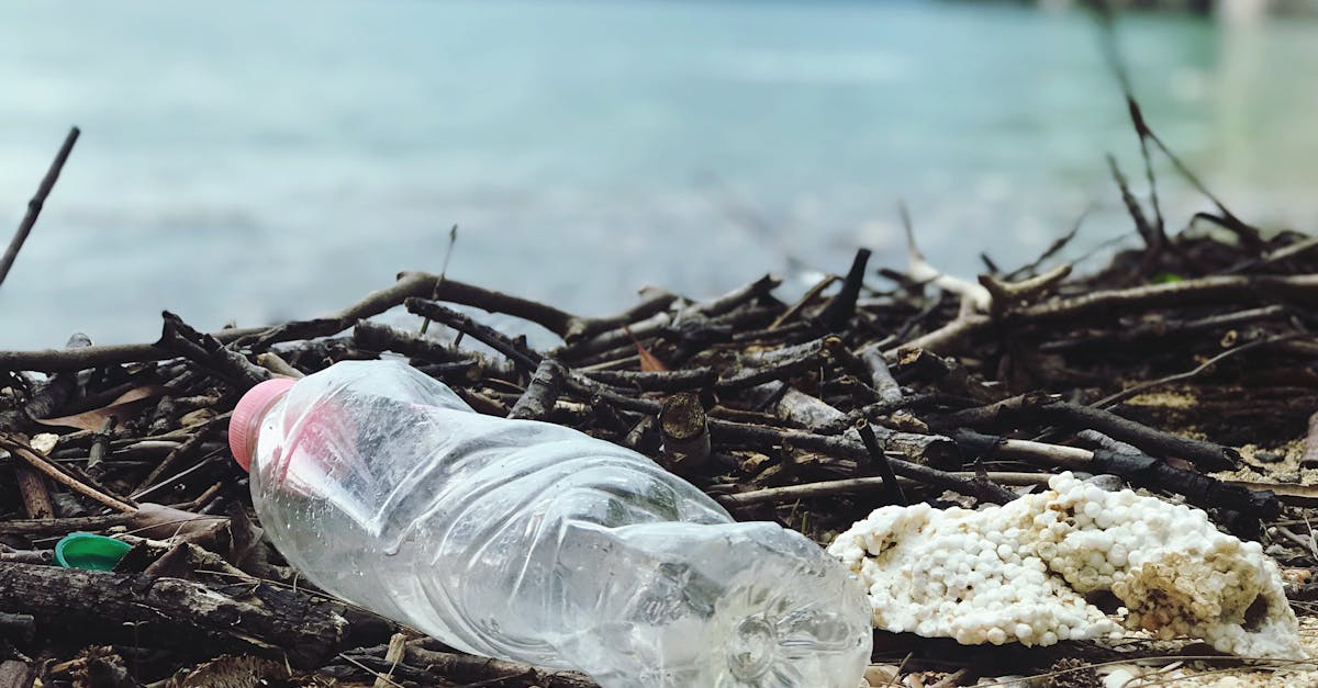 découvrez comment le recyclage permet de préserver l’environnement en réduisant les déchets, en économisant les ressources naturelles et en promouvant une économie circulaire. adoptez les bons gestes pour un avenir durable.