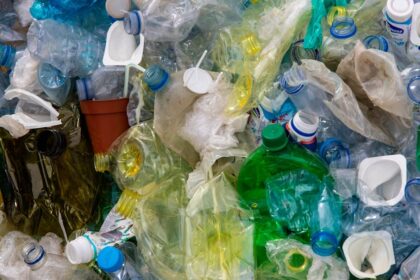 découvrez comment le recyclage contribue à la protection de l’environnement, réduit les déchets et favorise l’économie circulaire. adoptez des gestes simples pour recycler efficacement au quotidien.
