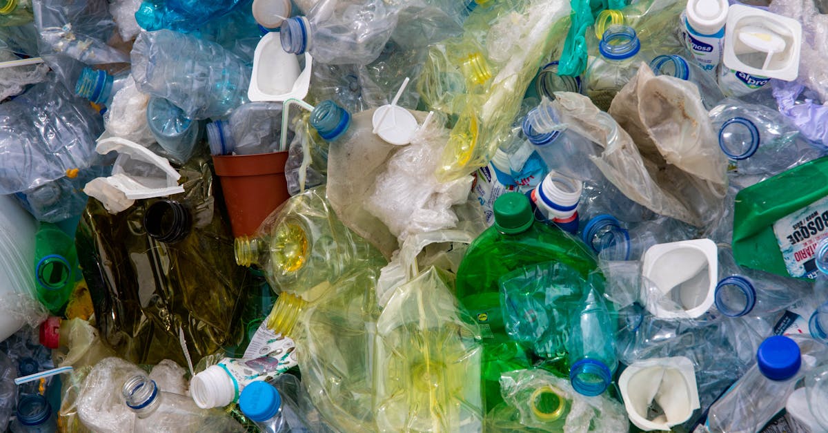 découvrez comment le recyclage contribue à la protection de l’environnement, réduit les déchets et favorise l’économie circulaire. adoptez des gestes simples pour recycler efficacement au quotidien.