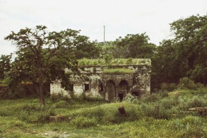 découvrez tout sur les vibromasseurs télécommandés : fonctionnement, avantages, conseils d’utilisation et sélection des meilleurs modèles pour pimenter votre vie intime à distance.