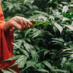 découvrez l'exploration sensorielle : une expérience immersive qui stimule les cinq sens, favorise l'éveil, la créativité et le bien-être, aussi bien chez les enfants que les adultes.