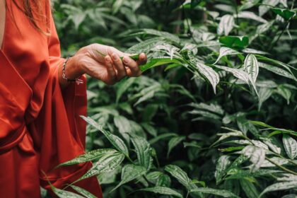 découvrez l'exploration sensorielle : une expérience immersive qui stimule les cinq sens, favorise l'éveil, la créativité et le bien-être, aussi bien chez les enfants que les adultes.