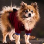 découvrez notre sélection de sex-toys pour pimenter votre intimité, explorer de nouveaux plaisirs et vivre des expériences sensuelles en toute discrétion. profitez de conseils et de produits adaptés à tous les désirs.