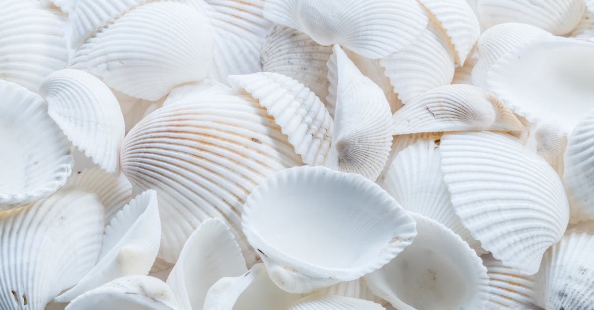 partez à l'aventure avec notre chasse au trésor passionnante ! découvrez des énigmes, des indices cachés et des récompenses inattendues. idéal pour petits et grands explorateurs en quête de divertissement et de mystère.