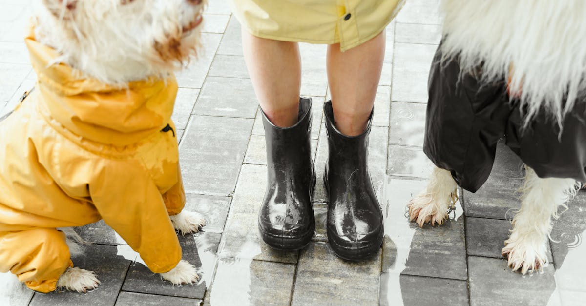 découvrez notre sélection de produits waterproof, conçus pour résister à l'eau et vous offrir une protection fiable au quotidien. optez pour la qualité et la durabilité avec nos articles imperméables adaptés à tous vos besoins.