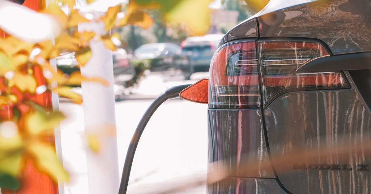 découvrez notre sélection de butt plugs de qualité pour une exploration intime en toute sécurité et confort. idéals pour débutants et expérimentés.