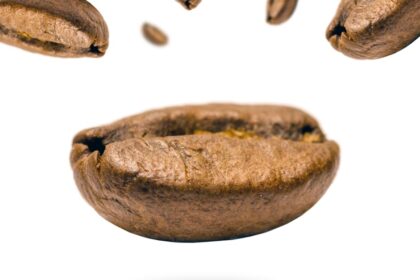 découvrez notre sélection de stimulateurs clitoridiens pour une stimulation précise et des sensations intenses. profitez d'une expérience agréable et personnalisée avec des produits discrets et puissants.