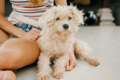 découvrez notre sélection d'intimate toys pour pimenter vos moments privés et explorer de nouvelles sensations en toute intimité.