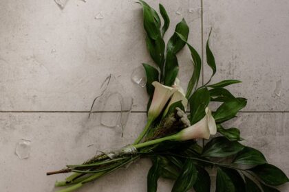 découvrez les détails du scandale shein, ses impacts sur l'industrie de la mode et les controverses entourant cette marque populaire.