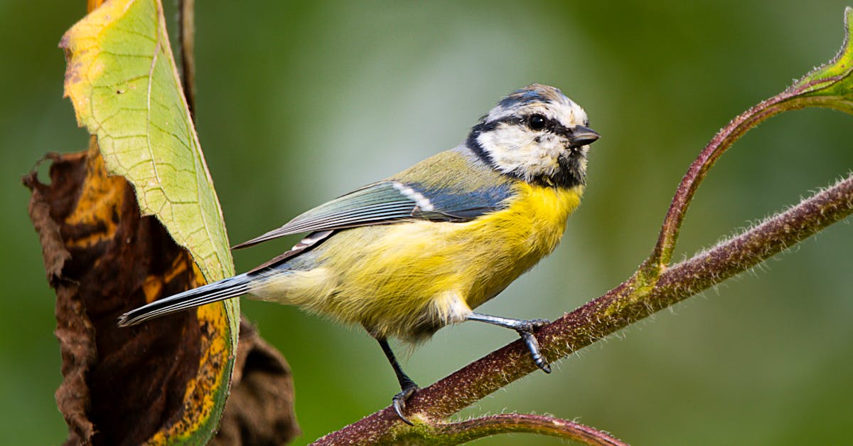 découvrez tout ce qu'il faut savoir sur le point g : anatomie, plaisir et conseils pour une meilleure expérience intime.
