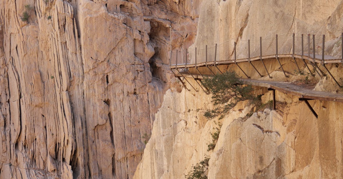 service de rénovation et remise à neuf de sex-toys pour une expérience sécurisée, propre et prolongée. redonnez vie à vos accessoires intimes en toute confiance.