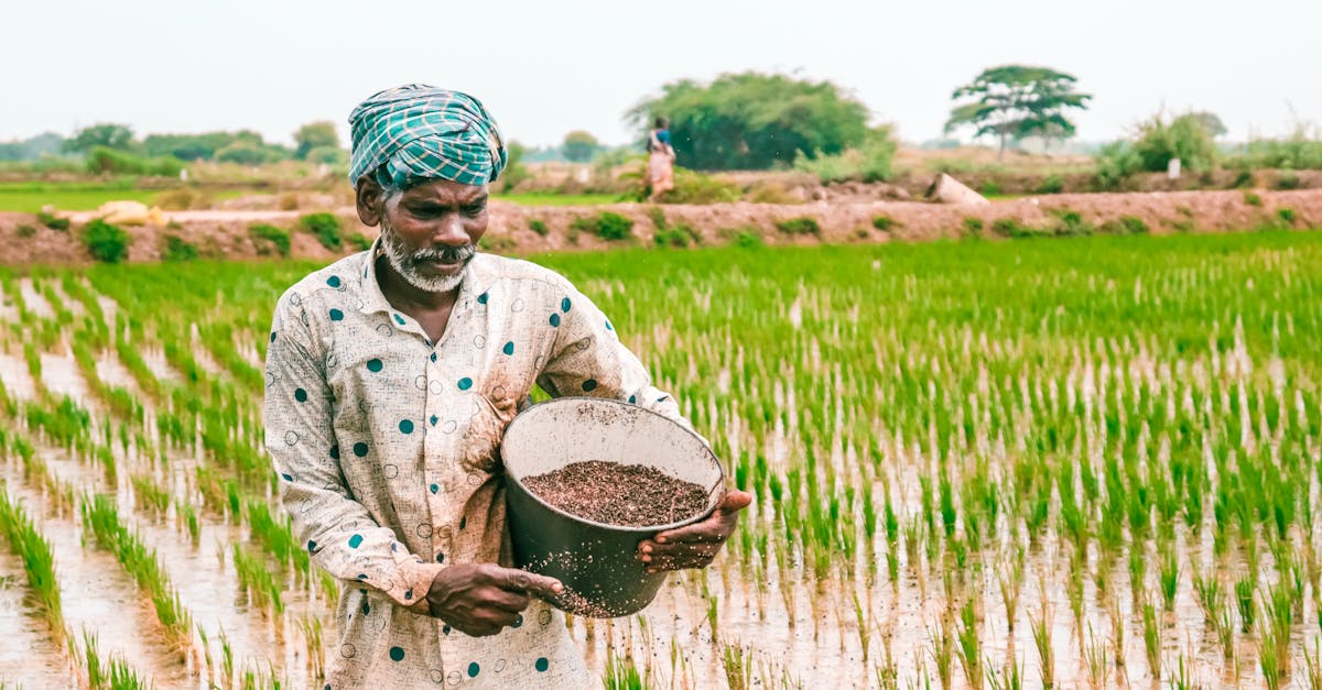 découvrez le quotidien d'un farmer : passion, travail de la terre et vie rurale au cœur de la nature.