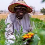 découvrez le métier d'agriculteur : passion, travail de la terre, élevage et contribution à l'alimentation durable.