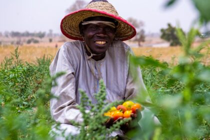 découvrez le métier d'agriculteur : passion, travail de la terre, élevage et contribution à l'alimentation durable.