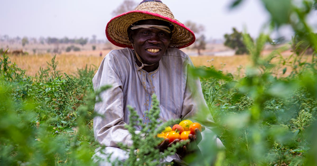 découvrez le métier d'agriculteur : passion, travail de la terre, élevage et contribution à l'alimentation durable.