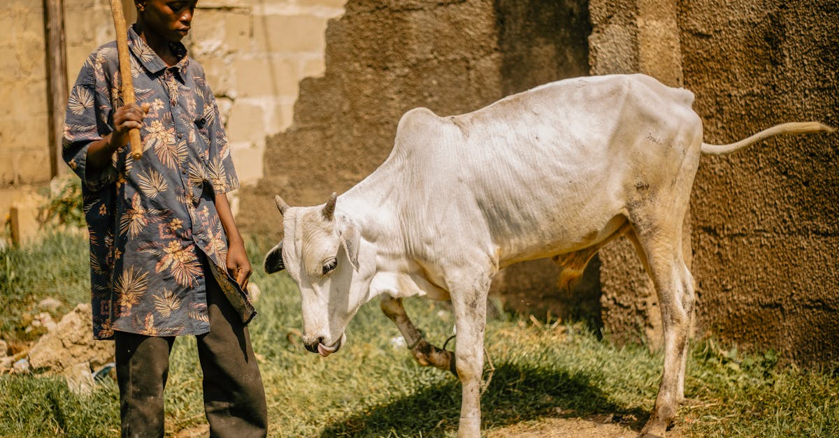 découvrez le rôle essentiel d'un farmer dans l'agriculture moderne, ses techniques de culture, et son impact sur la production alimentaire durable.