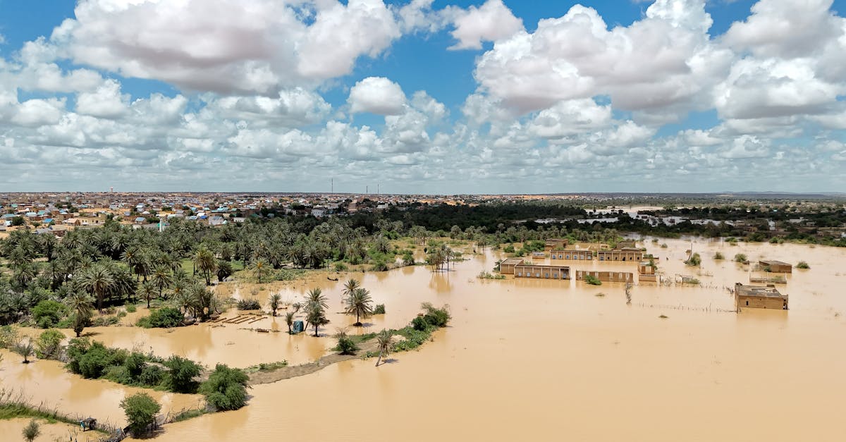 découvrez tout sur le pentagone, une figure géométrique à cinq côtés, ses propriétés, ses applications en mathématiques et en architecture.