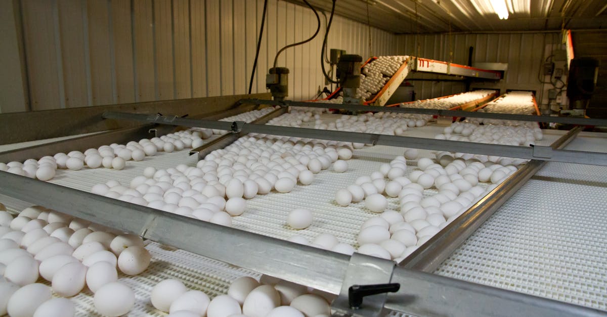 découvrez notre œuf vibrant, un accessoire discret et puissant pour des sensations intenses et un plaisir unique.